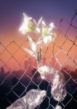 Personal Project 